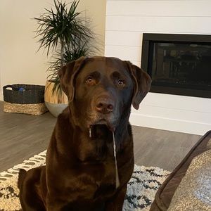 Meet your Posher, Jeremy